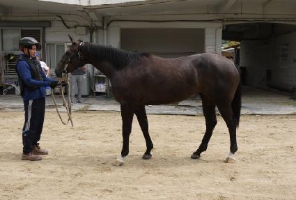 ��ĳ�� ����