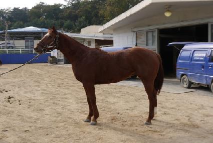 ���� ����