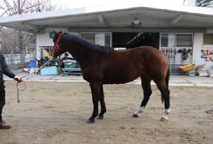 ���ǽ�Ʈ ����