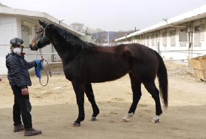 ��Ÿ�ȳ� ����