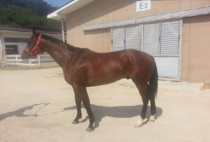 �ü����� ����