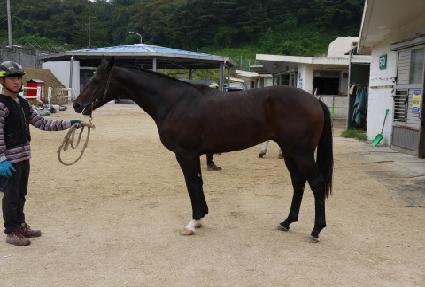 ��ī�� ����