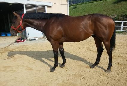 �����ξ��� ����