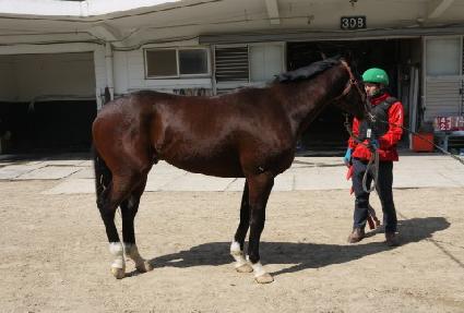 ���̵��� ����