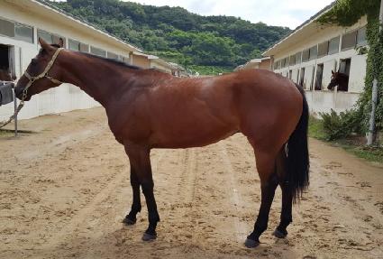 ������ ����