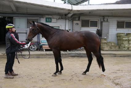 ȣũ������ ����