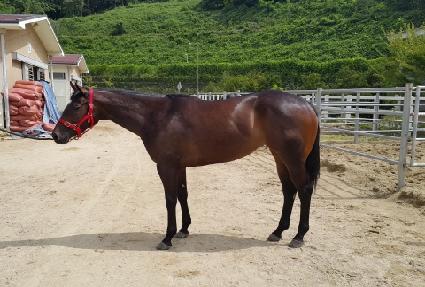 ������ ����