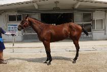 ������ȣ (SEJIN ILHO) ����