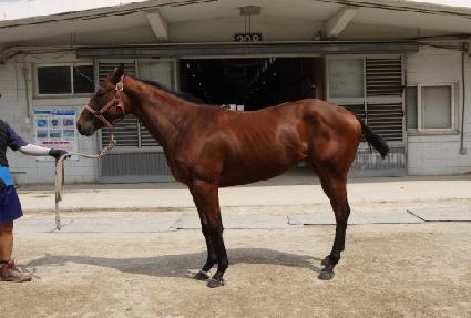 ������ȣ ����