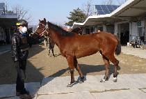 ������ (MANDAESANSAN) ����