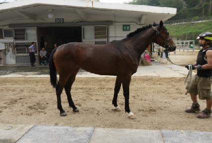 �ְ��� ����