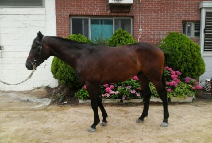 ǻ����ȣ ����