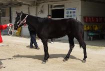 ���簡�� (NAMYANG GARDEN) ����