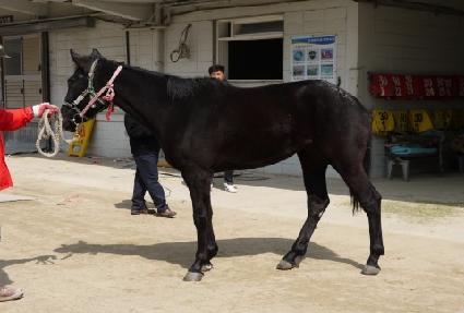 ���簡�� ����