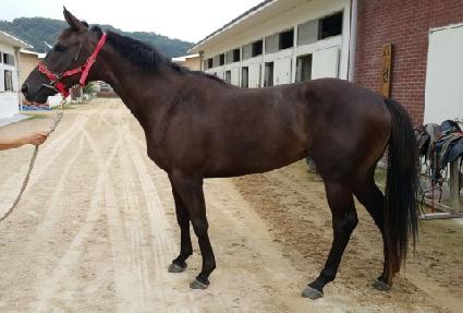 �������� ����