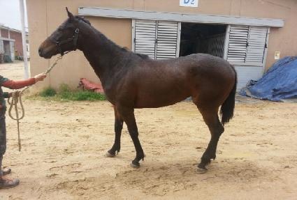 �±ǹ̼� ����