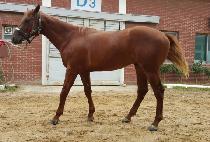 ���ۼҴ� (SUPER SONIC) ����