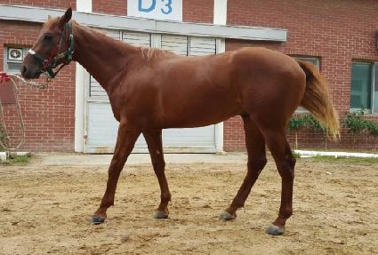 ���ۼҴ� ����