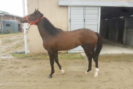 ��������� ����