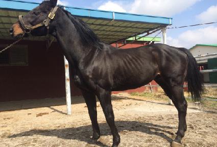 ������ŧ ����