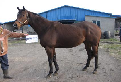 �θ���ũ ����