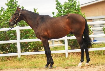 ����Ǯĸƾ ����