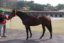 �������� (JEOLDAEJILJU) ����