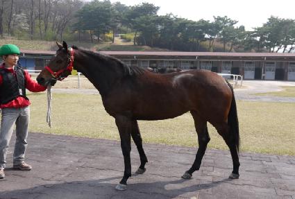 �������� ����