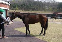 �������� (COZY DAY) ����