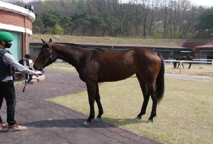 �������� ����