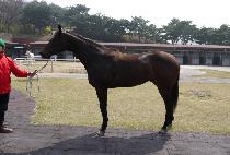 �������� (GOSOKJUPA) ����