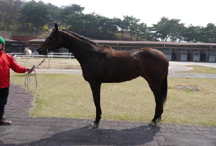 �������� ����