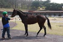 ���ڵ���Ʈ (CONCORD MOMENT) ����