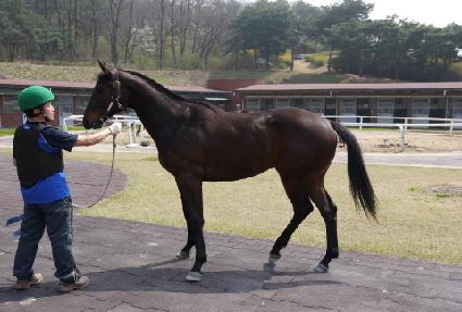 ���ڵ���Ʈ ����