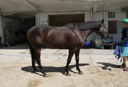 �ƿ���Ư�� ����