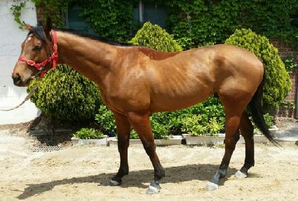 ��ȣ������ ����