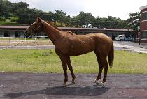 ���Ĵ��� (MUHUDAEJE) ����