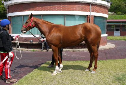 �ݵ����� ����