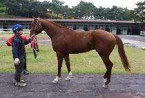 �������̾� (AZUL FIRE) ����