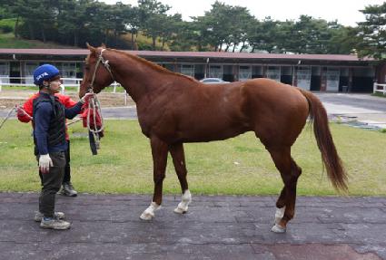 �������̾� ����