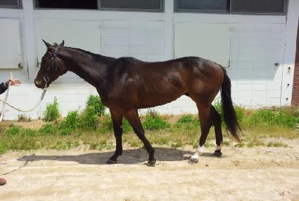 ��ӹٶ� ����