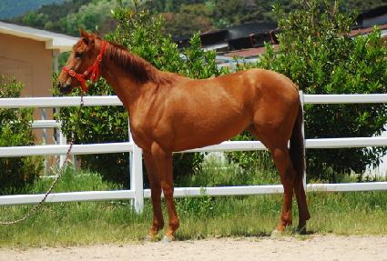 ���ǹ������� ����