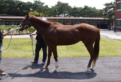 ��ħ�������� ����