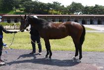 �������� (JINMYEONG BULPAE) ����