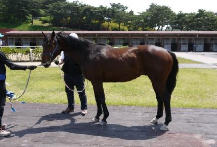 �������� ����