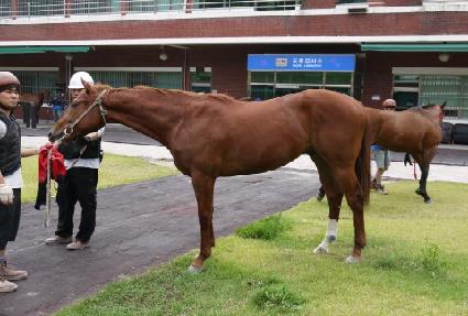 ����ũ���轺 ����