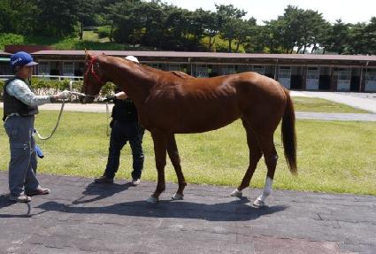 ������������ ����