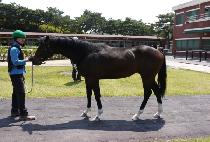 �������� (SAMJEONG JEGUK) ����