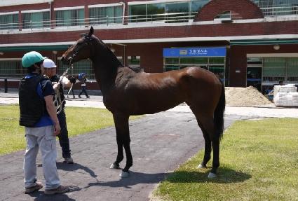 ����� ����