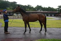 ť�ǵ��Ŀ� (Cupid Power) ����